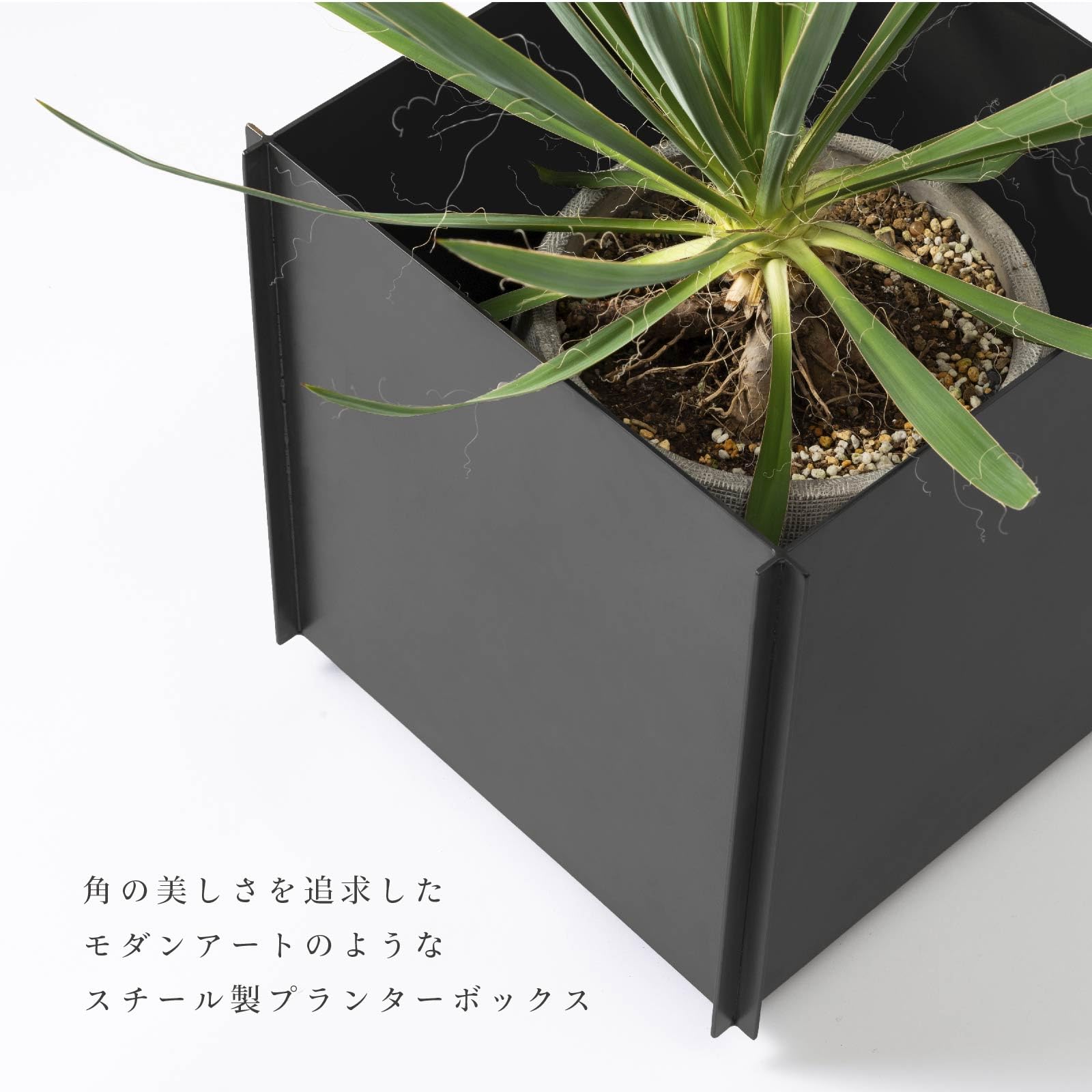 POPCORN 鉄製植木鉢 cc033_t1.jpg