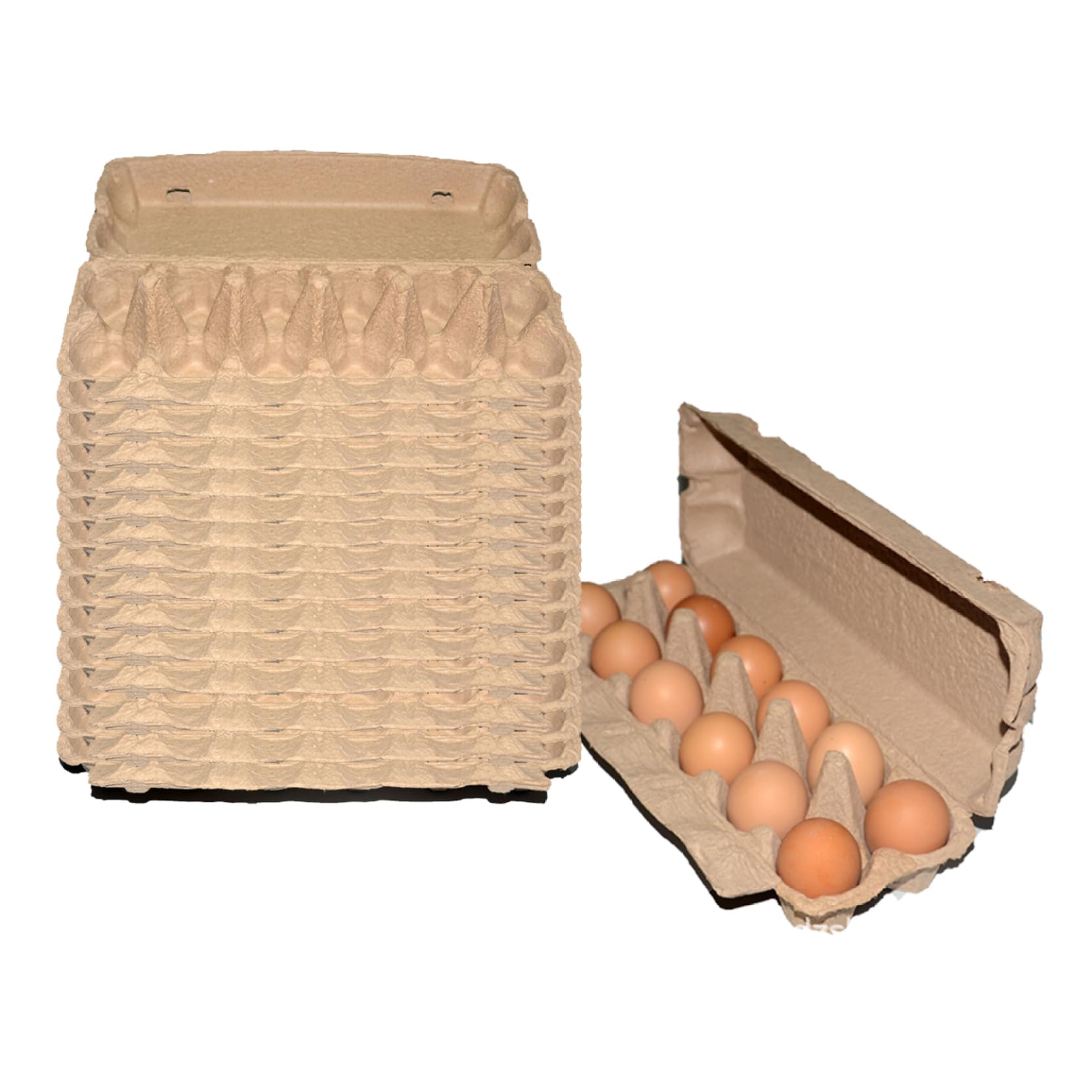 Cartons d'œufs 15 pièces en pâte à papier pour réfrigérateur x12
