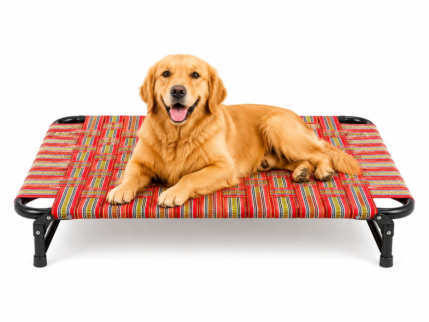 Avika Folding Dog Bed Heavy Duty Metal Frame Breathable Raised Pet Cot | 61 x 91 cm Size, Indoor & Outdoor Use, Raised Design, Heavy Duty Frame-image-49