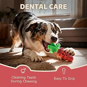 Frienhund Indestructible Dog Toys for Aggressive Chewers Heavy Duty Beef-Flavored Chew Toys for Large & Medium Dogs (20-70 lbs), Dental Teeth Cleaning, Holiday Dog Gift (Red)