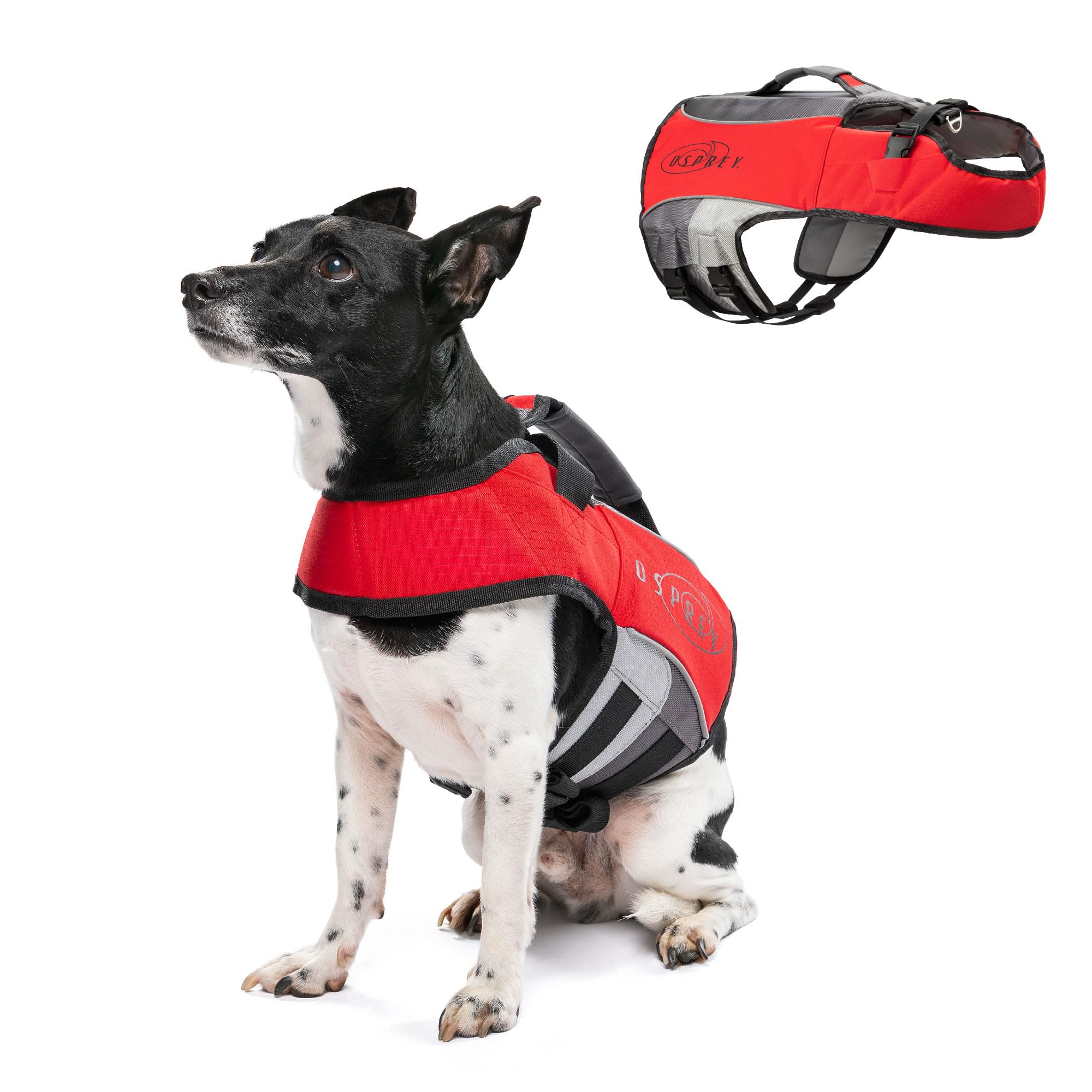 Osprey Dog Life Jacket, Adjustable Buoyancy Aid with Handle, Reflective Strips, Fits Small, Medium & Large Dogs – Swim Safety Vest for Water Activities & Paddleboarding