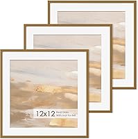 Vista 528 de Fun Memories Portarretratos de metal de 16 x 20 pulgadas con paspartú de 11 x 14 pulgadas, acabado de aluminio cepillado, parte delantera de vidrio