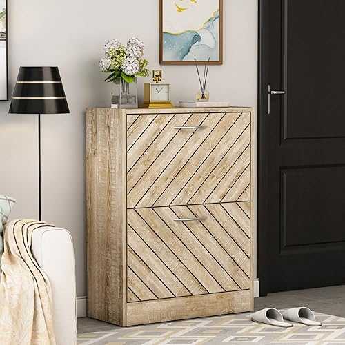 DiDuGo Armario de zapatos con 2 compartimentos moderno gabinete de zapatos con inclinación independiente diseño inclinado organizador de zapatos