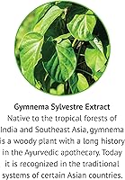 Vista 4 de Gymnema Sylvestre-Extracto líquido, sin alcohol, sin gluten, sin OMG, gotero, botella, 1 onza