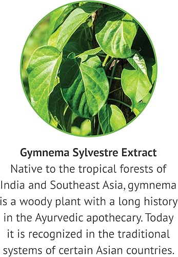 Miniatura 4 de Extracto líquido de Gymnema Sylvestre de primera calidad ayuda a apoyar el metabolismo natural de la glucosa hierba ayurvédica sin alcohol sin