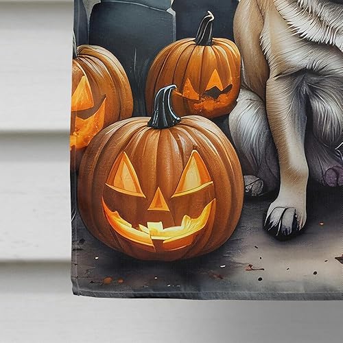 Miniatura 22 de Caroline's Treasures DAC2011GF - Bandera decorativa para jardín de Halloween con diseño de beagle para jardín, jardín, jardín, jardín, multicolor