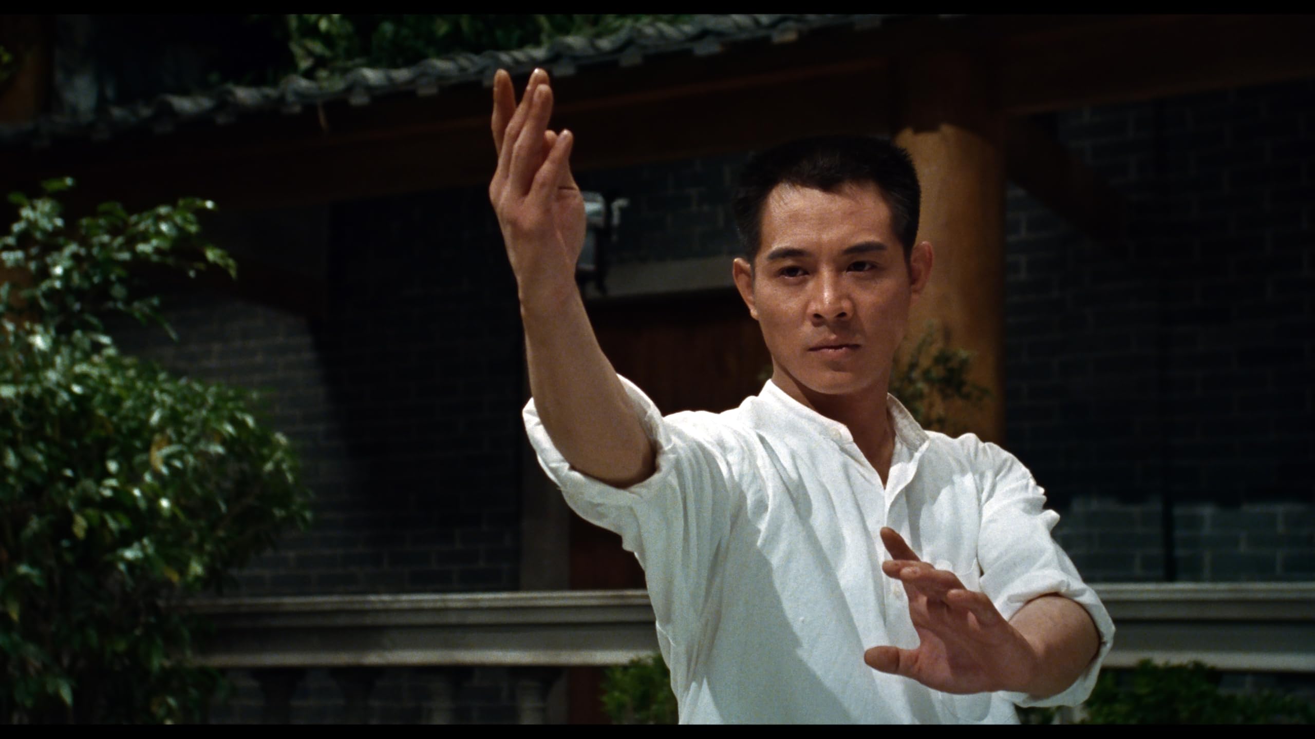 Fist of Legend