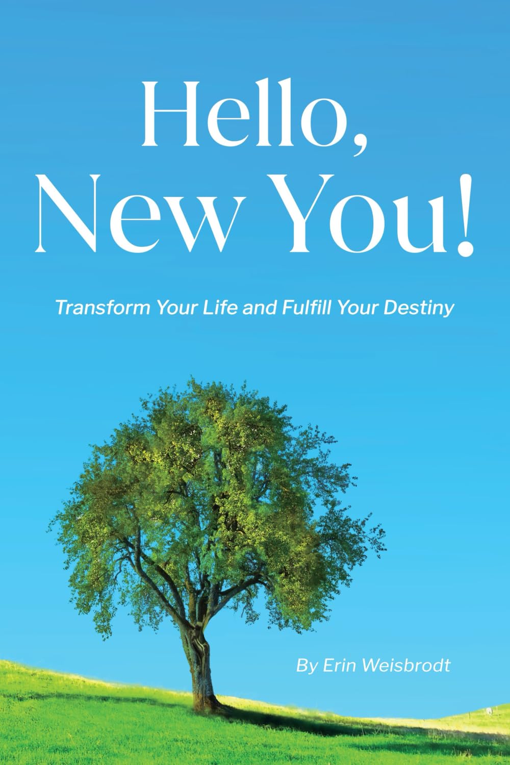 Hello, New You!: Transform Your Life & Fulfill Your Destiny