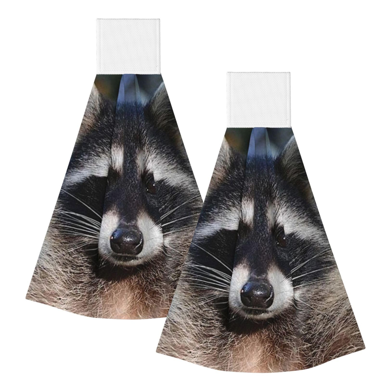 DOPKLNA Little Raccoon Face, 2 Pcs Hanging Coral Fiber Hand Towels for Bathroom, Absorbent Kitchen Towels