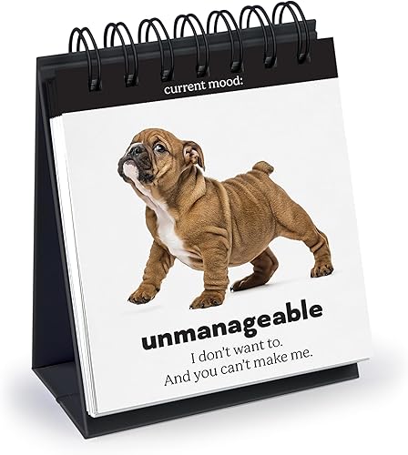 Diario DOGGO, Rotafolio de escritorio