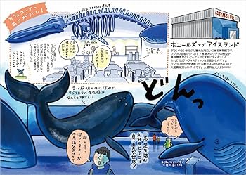 Amazon.co.jp: アイスランド☆TRIP――神秘の絶景に会いに行く