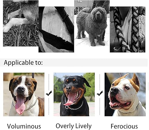 Miniatura 4 de Paquete de 2 collares de cadena para entrenamiento de perros, collar martingala de acero inoxidable 304 (19 pulgadas, 0.098 in, plateado)