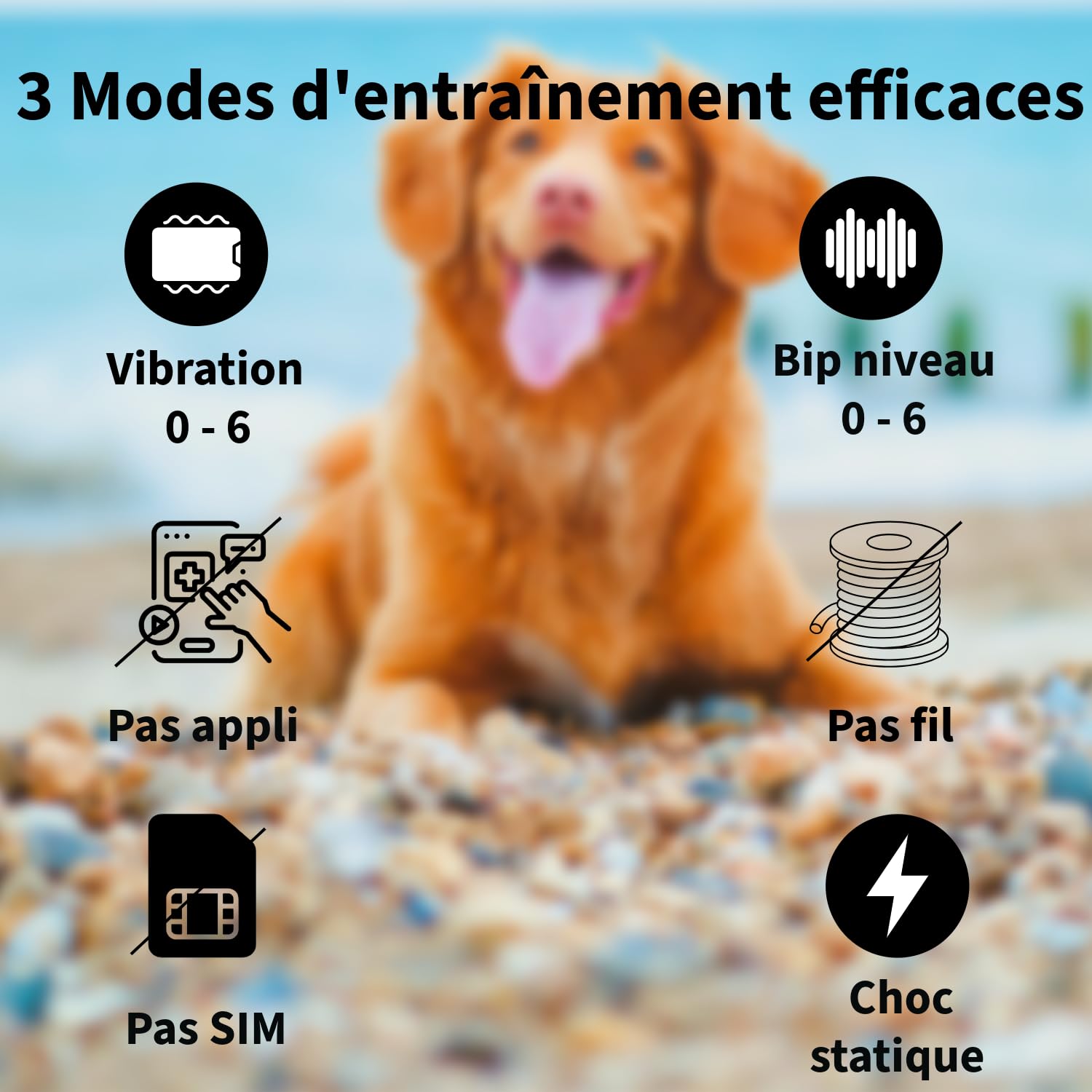Clôture électrique sans Fil GPS pour Chien, clôture Intelligente de 4e génération, portée de 33 à 999 m, système Anti-Fugue contrôlé par IA, étanchéité IPX7, clôture électrique pour Chien