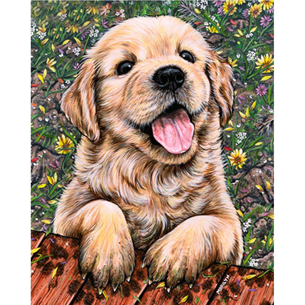 Better Selection DIY 5D Diamond Art Kit - Golden Retriever Dog Embroidery - 11.81x15.75 inches - Adult, Unisex - Realistic, All Seasons - DIY Craft Kit