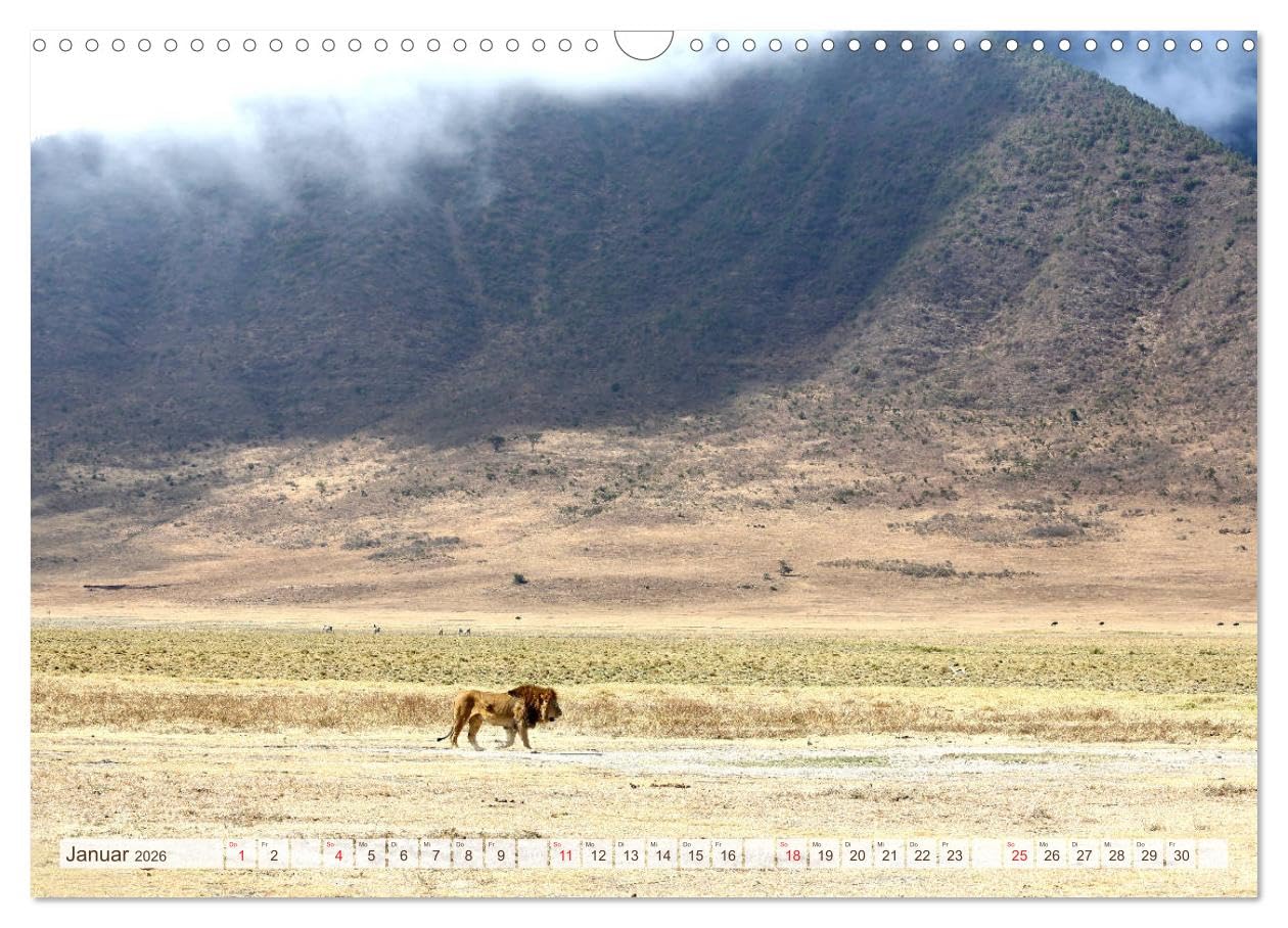 Tansania - Durch die Nationalparks Ostafrikas (Wandkalender 2026 DIN A3 quer), CALVENDO Monatskalender: Die beeindruckende Region zwischen ... Volksgruppen unserer Zeit. (CALVENDO Orte)