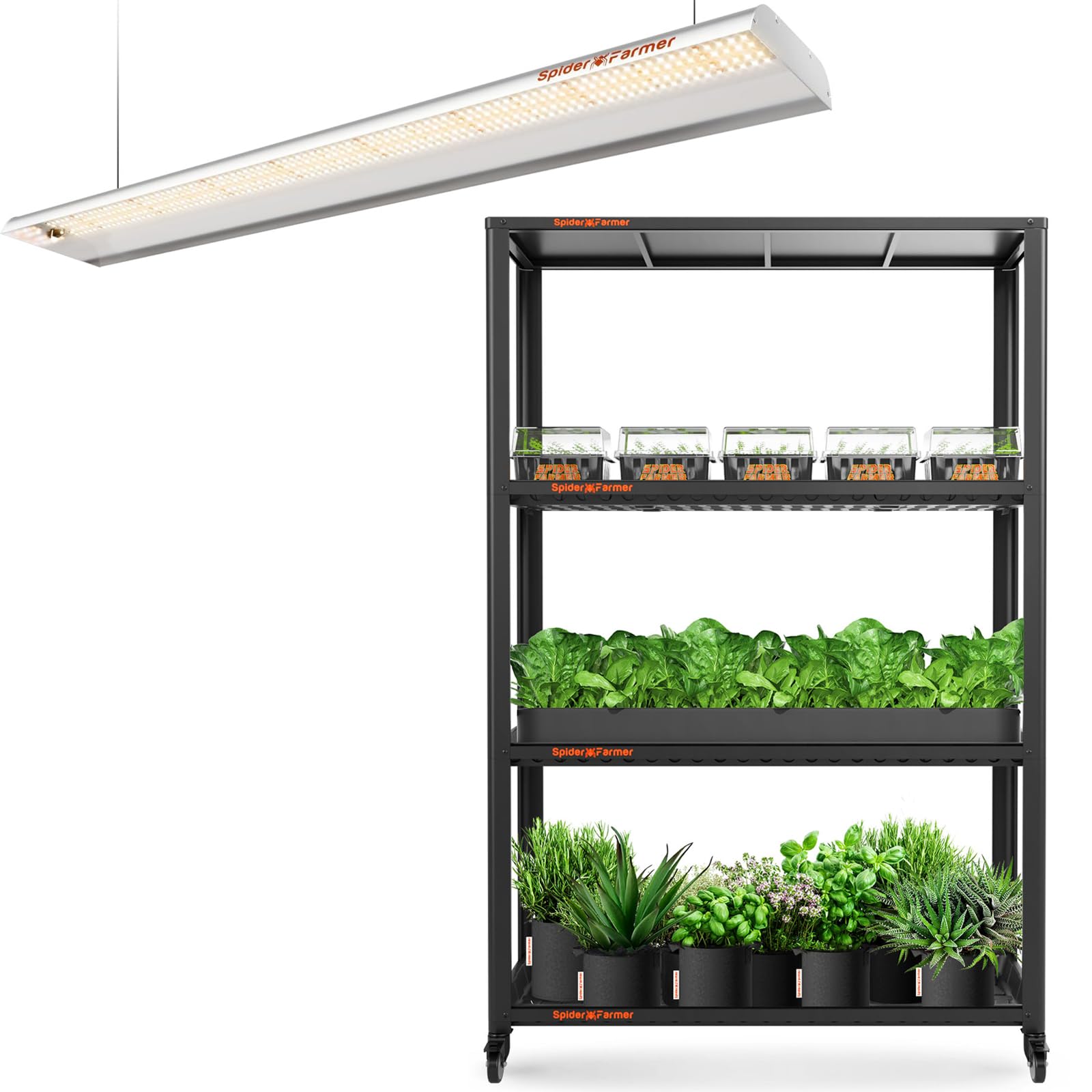 Amazon.com : Spider Farmer SF600 LED Grow Light and Plant Stand 3