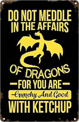 Letrero con texto en inglés Do Not Meddle in the Affairs of Dragons, divertido letrero de metal sarcástico para decoración de pared de hombre,