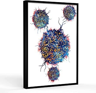 medical school acceptance party decorations T cells human T cells science watercolor medical immunology biology art Medical print poster outdoor wall art 12 X 16 Inch Framed Modern Canvas Wall Art