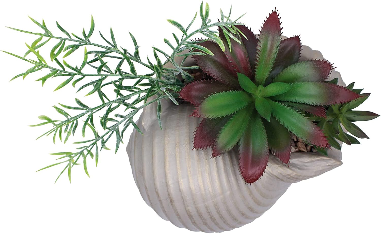 Faux Succulents in Conch Sea Shell Home Decor,Coastal Beach Decorations for Home Bathroom Ocean Seashell Decor Series for Home Beach Decor Theme Party Favors (Without Drainage Hole)