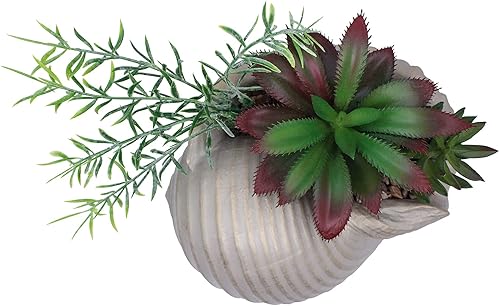 Miniatura 3 de Suculentas falsas en concha de mar, decoración del hogar, decoración de playa costera para el hogar, baño, océano, conchas marinas, serie de