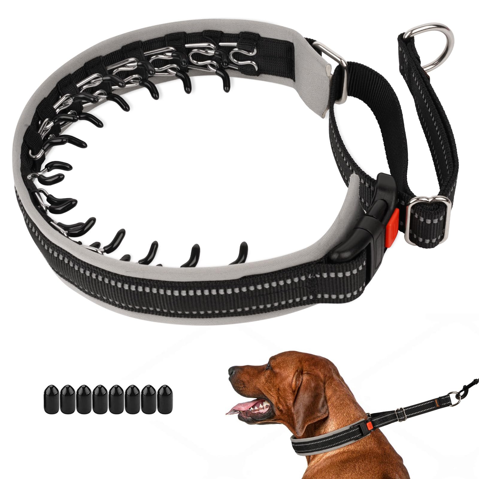 Mayerzon Martingale Dog Collar