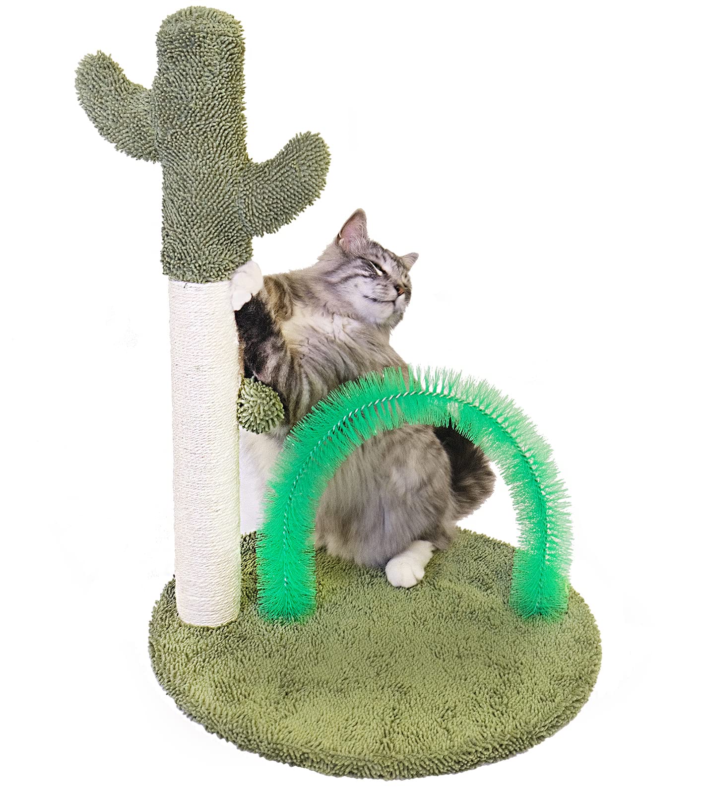 cat arch scratcher post