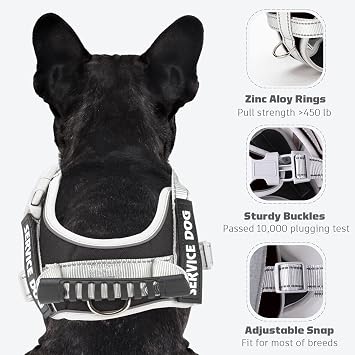 Service Dog Vest Harness, No Pull in Trainning Dog Harnesses with Handle & 5ft Dog Leash, Adjustable and Reflective No Chock for Small Medum Large Pets Walking and Running(Black, L)