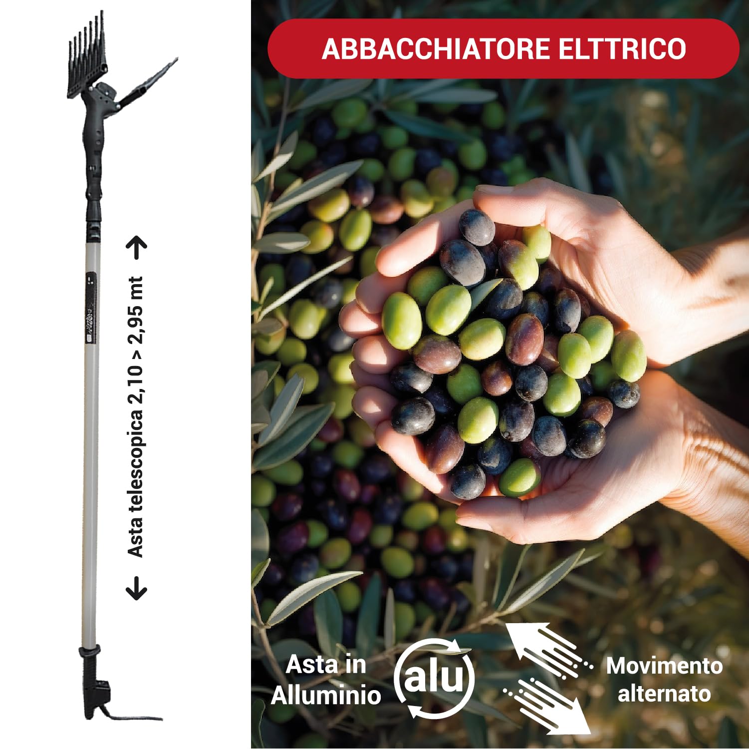 Crisalide Vareador eléctrico para aceitunas de 140 W con barra telescópica de aluminio de 210 – 295 cm, cable de 15 m, motor de 12 V, recogida de 80 kg/h, recoge aceitunas profesional, peines de