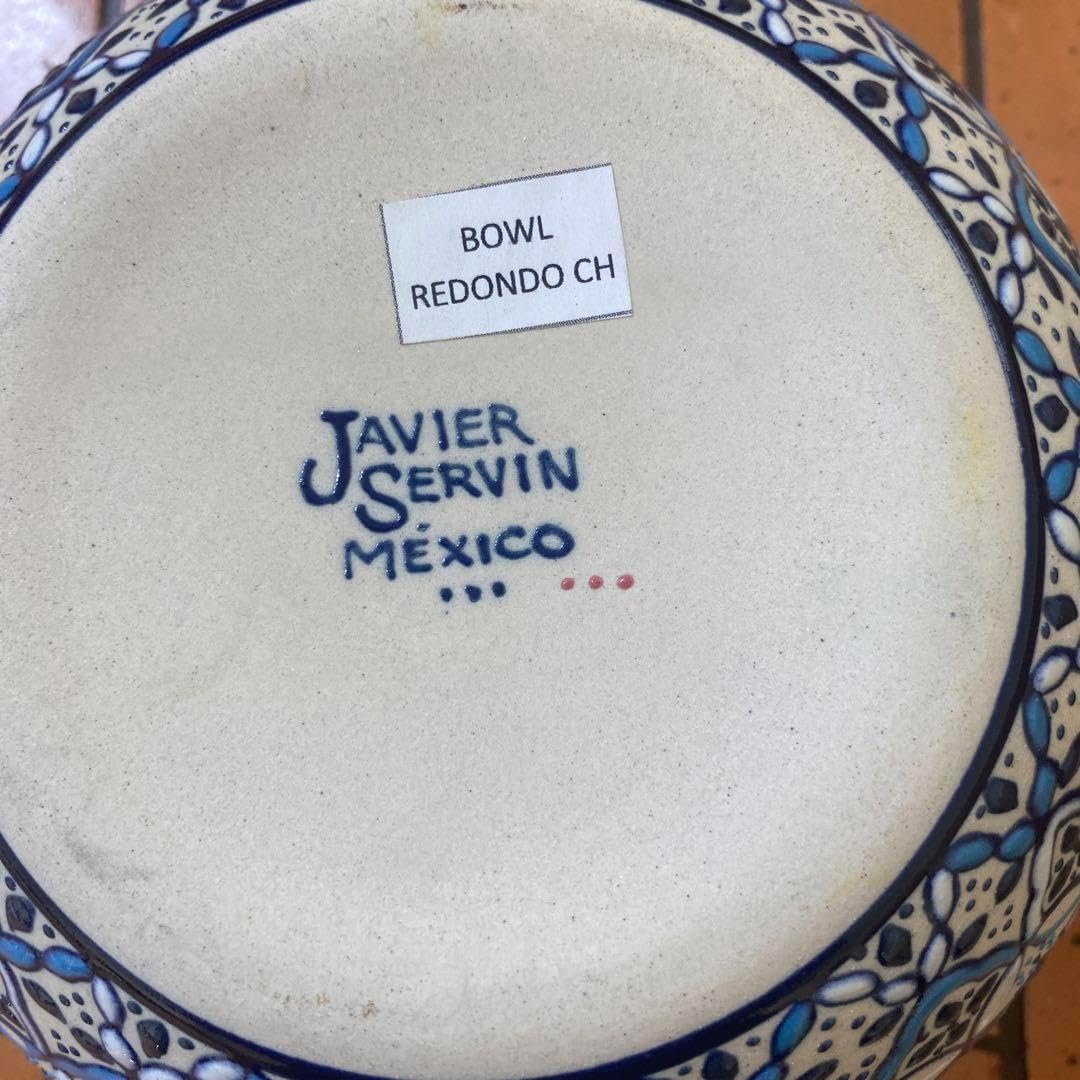メキシコ セルビン焼き JAVIER SERVIN 陶器bowl 皿 セルビン焼き 陶器