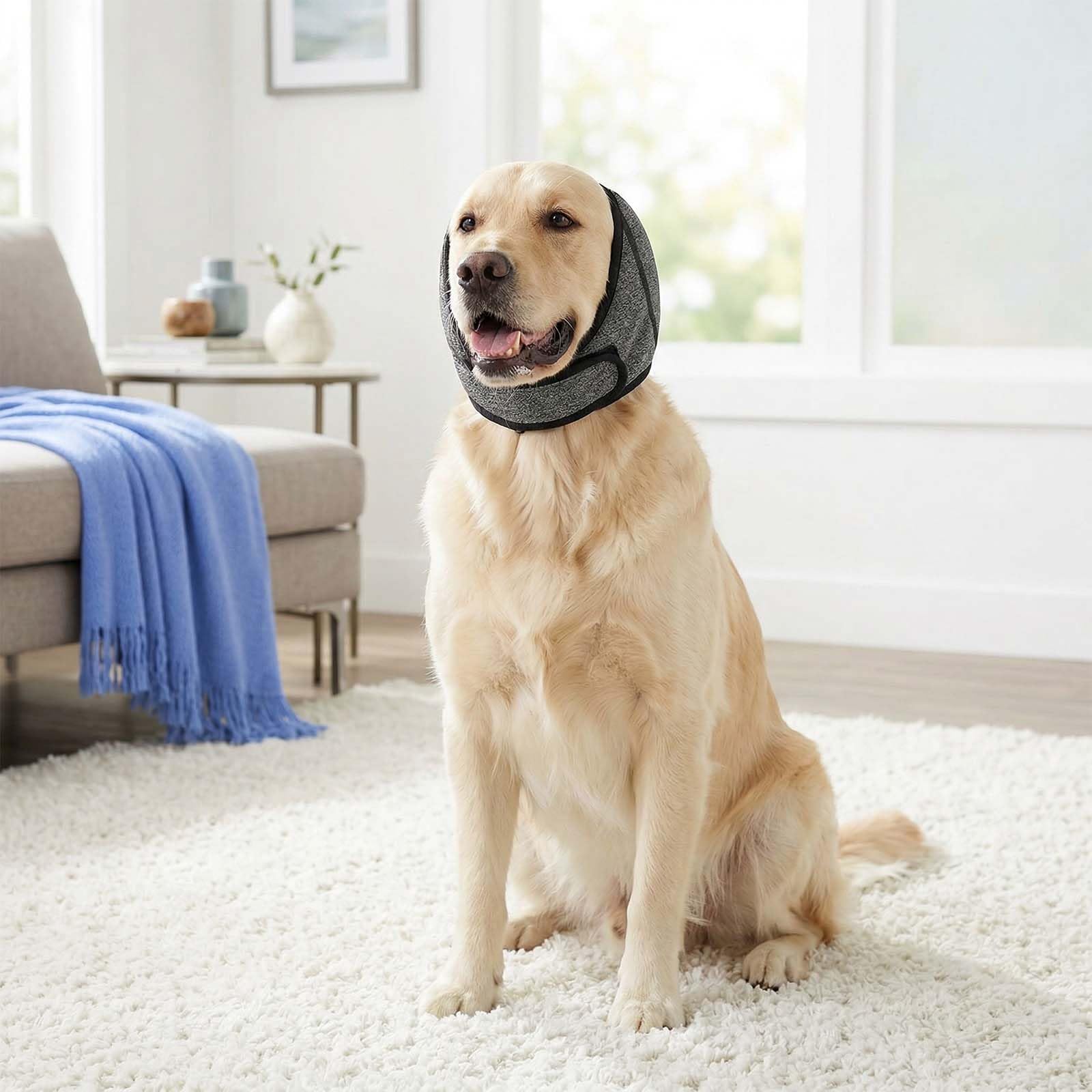 Naapesi Paraorecchie per Cani Antirumore - Fascia Elastica Calmante per Cani Contro Ansia, Fuochi d'Artificio e Tuoni - Protezione Orecchie per Bagno, Toelettatura e Inverno (Grigio) (M)