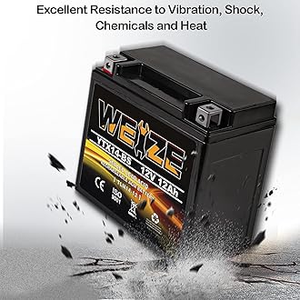 Weize YTX14 BS ATV Battery High Performance - Maintenance Free - Sealed AGM YTX14-BS Motorcycle Battery compatible with Honda Suzuki Kawasaki Yamaha scooter snowmobile