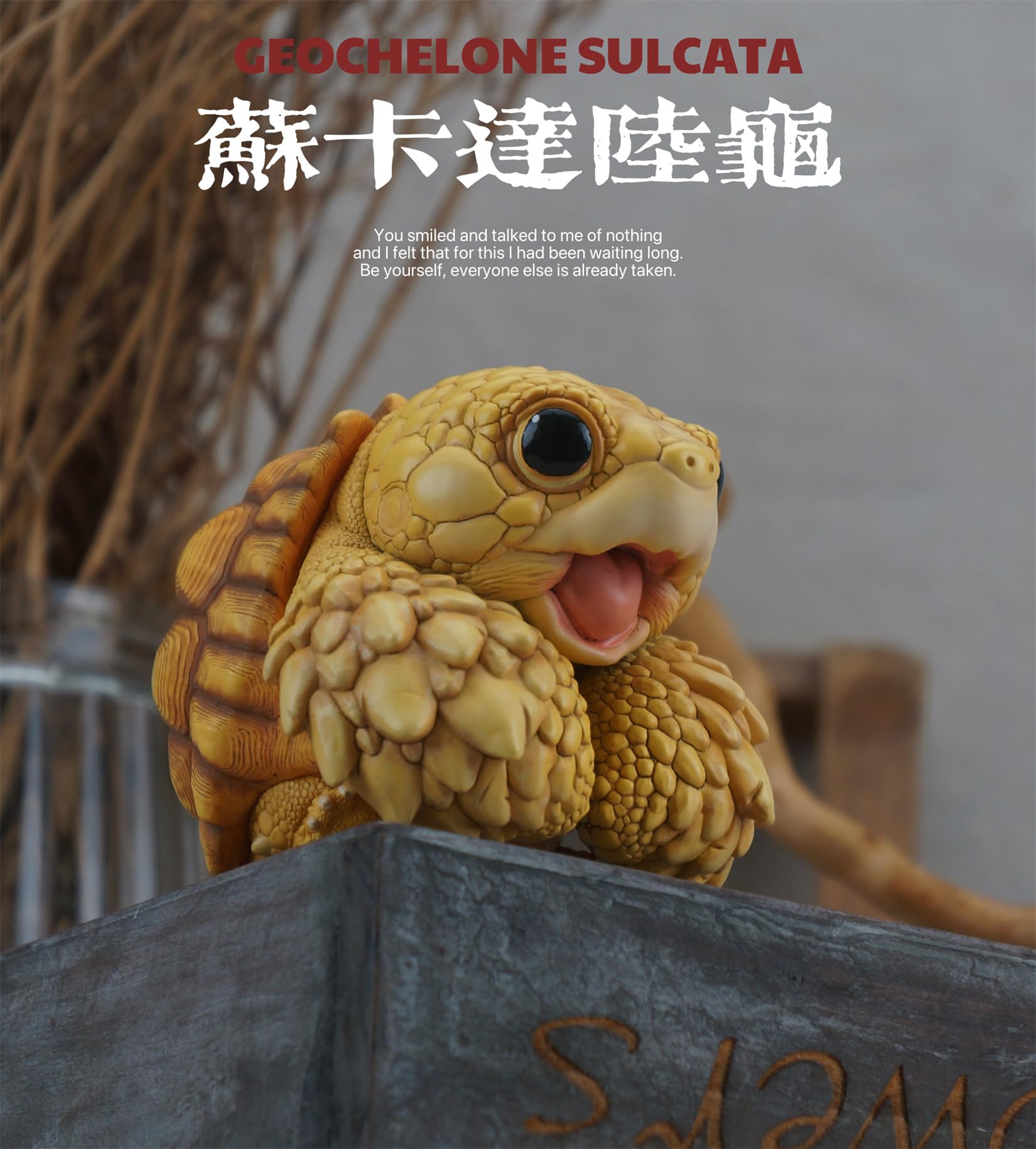 Naturetales セマルハコガメ　幼体フィギュア Amazon.co.jp: 博物志 ケヅメリクガメ セマルハコガメ 樹脂 可愛い