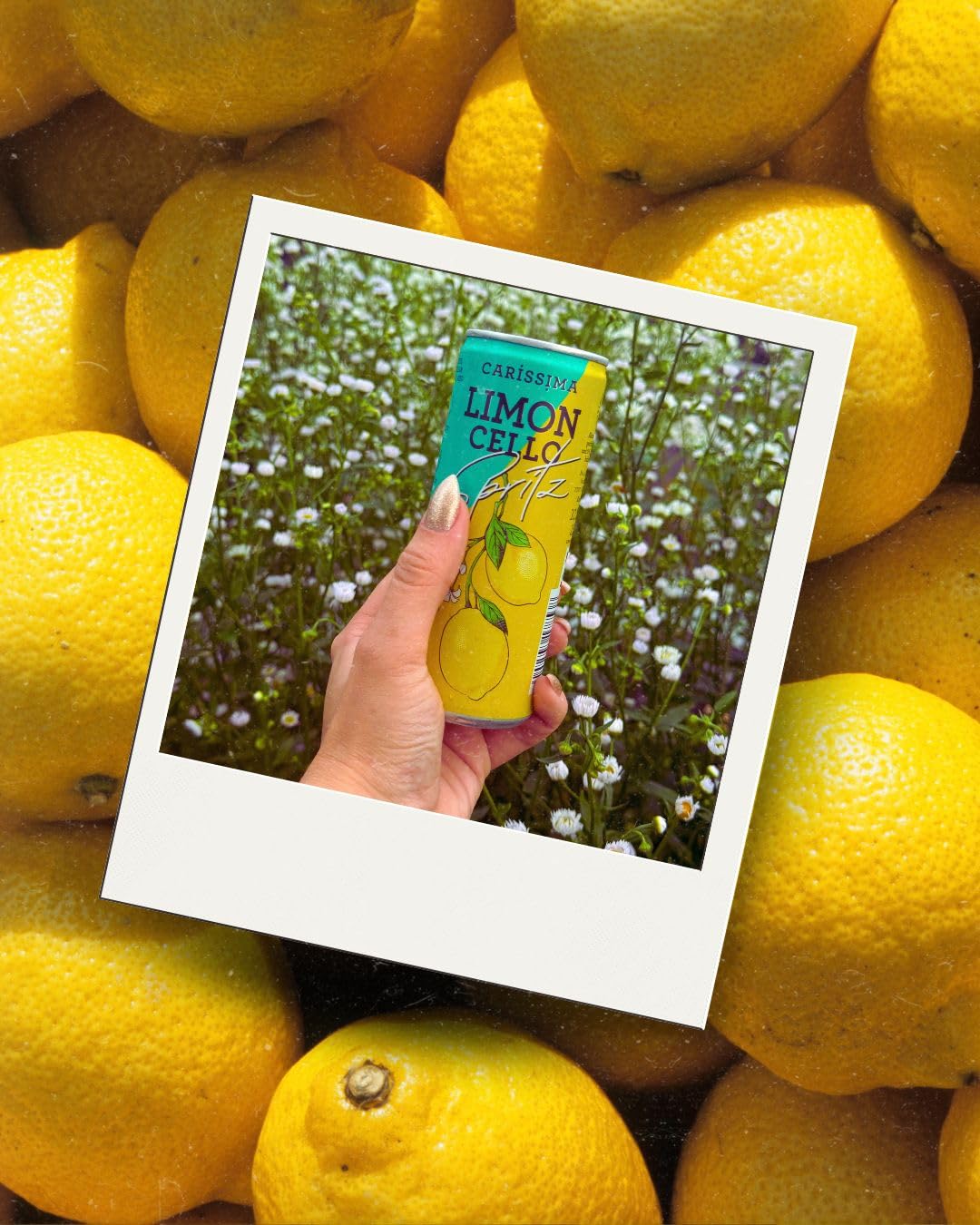 Carissima Limoncello Spritz 10% Vol. Dose (12x0.25l)