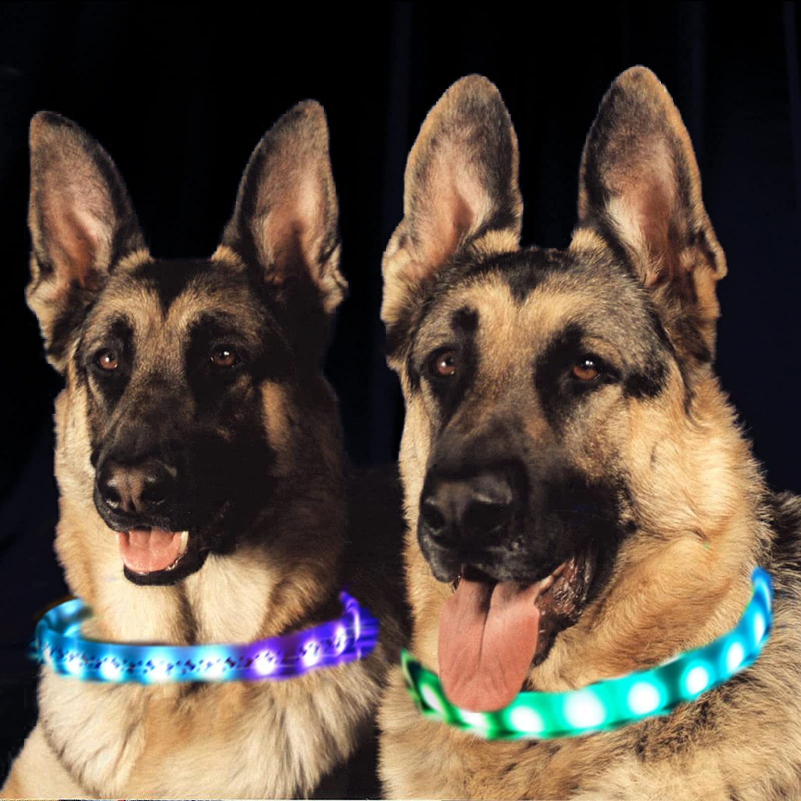 Glow in The Dark Led Dog Collar 2 Pack, USB-C Rechargeable Multi Color RGB Light Up Dog Collars, Cuttable Dog Safety Lights for Night Walking, Fit for Small/Medium/Large Dog