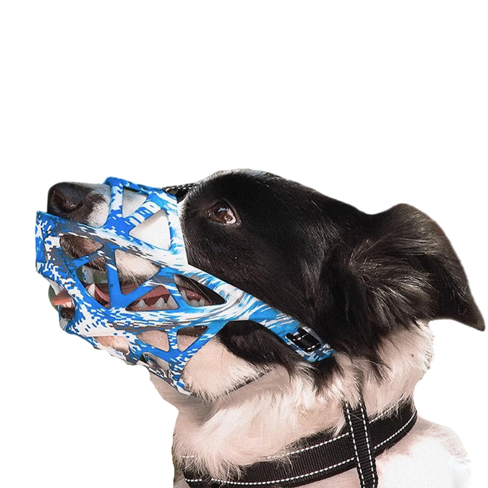 Museruola for cani di piccola taglia, museruola traspirante for, for for prevenire i morsi, regolabile, design con apertura frontale, consente ansimare(Blue and White,XL)
