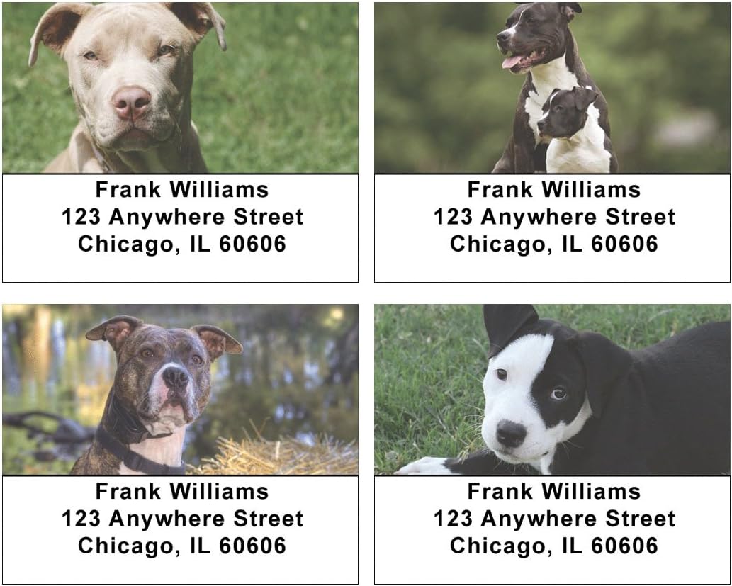 Pit Bulls Address Labels