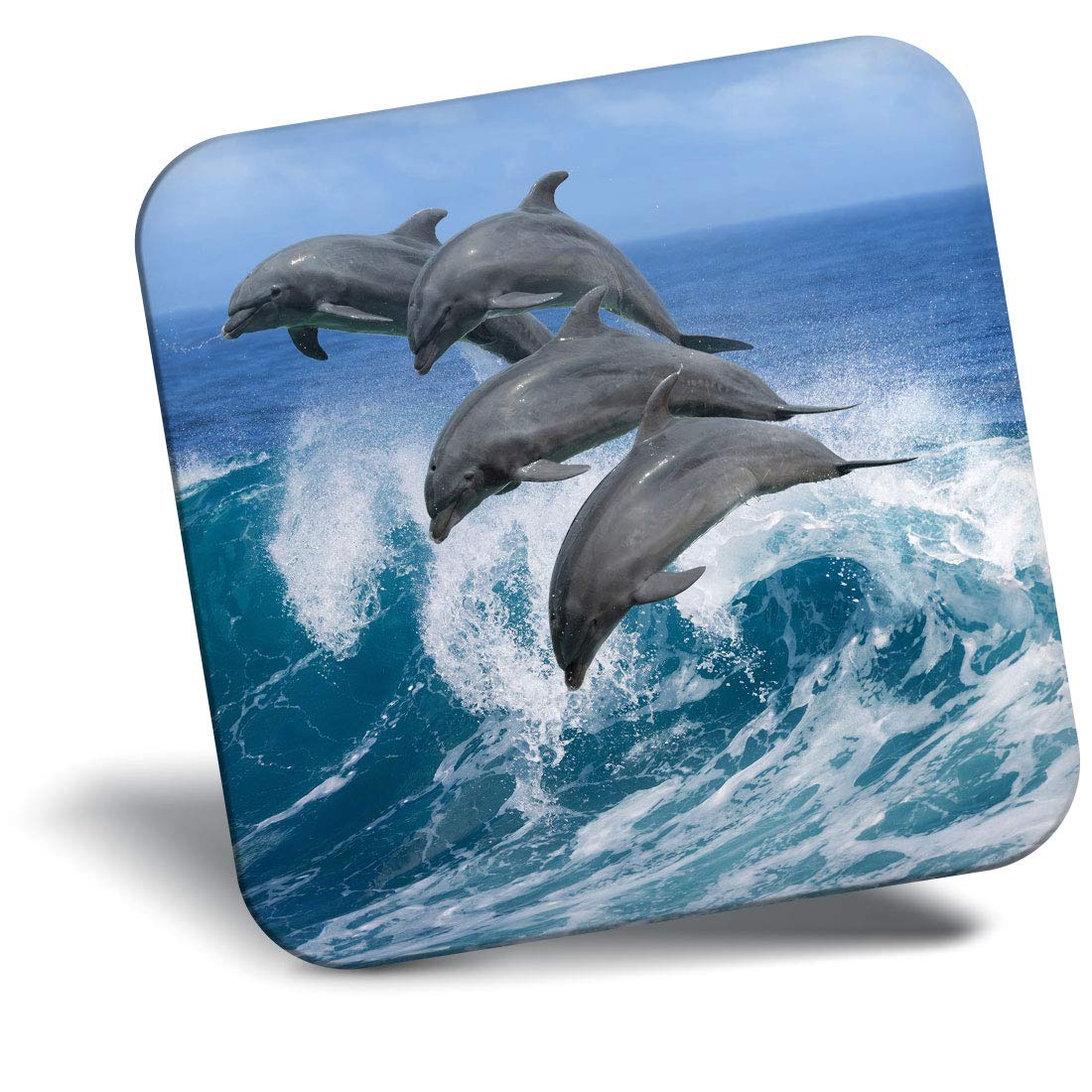 Destination Vinyl Ltd Fridge Magnet - Dolphin Pod Whale Ocean Sea 2333