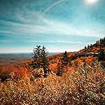 Review Image by Domitila Romero