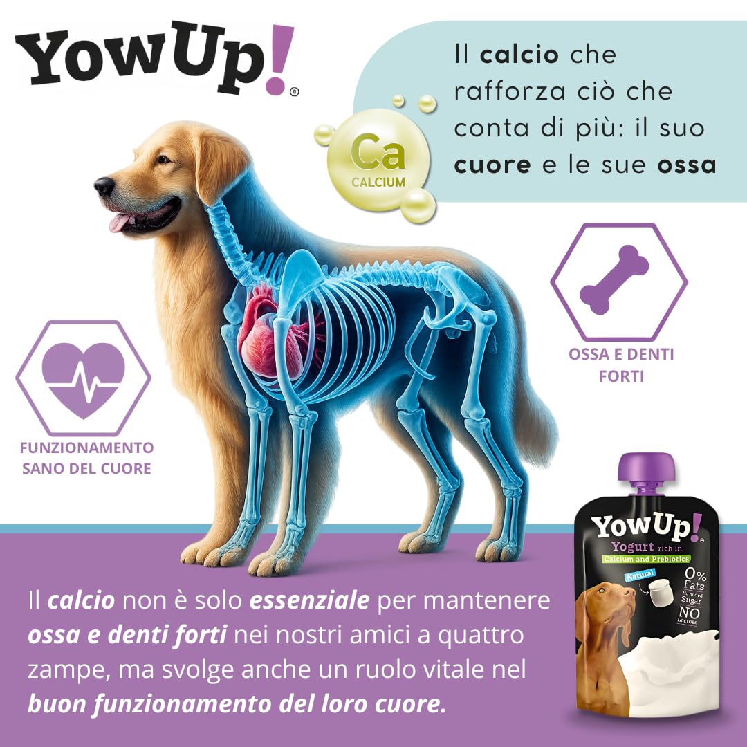 Yogur para Perro YowUp! con Prebióticos | Snack Funcional Saludable | Sin Lactosa, Bajo en Grasa | Pack 10x115g | Chuches Naturales Digestivas