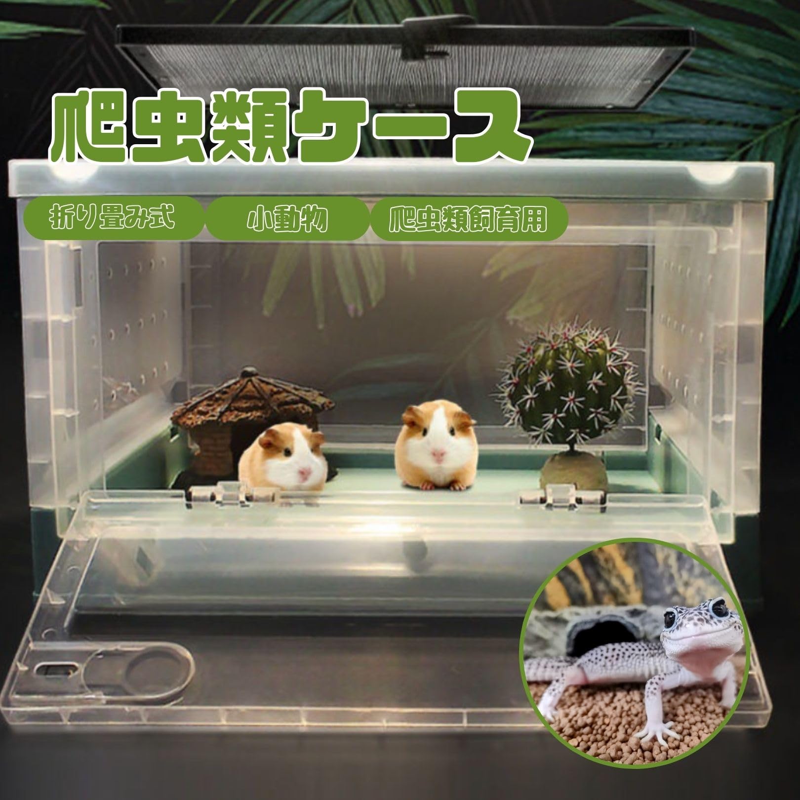 Amazon | EU SOU 爬虫類ケース 折り畳み式 爬虫類飼育 小動物 爬虫類