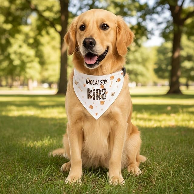 Foto 7 de 7 de DEREGALOOS Bandana Perro y Gato Personalizada con Nombre o Foto. Collar Ajustable con Pañuelo de Poliéster…