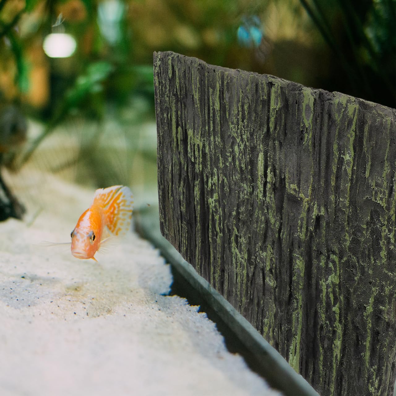 Abaodam 3D Aquarium Rückwand Pu Reptilienpanzer Hintergrund Für Aquarium Terrarium Hintergrund Für Schildkrötenpanzer Und Reptilienbox 17.72 X 11.81 X 1.18 in Steinoptik