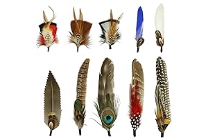 Plumas Para Sombreros Vaqueros: 10 Piezas de Plumas de Sombrero, Plumas de...