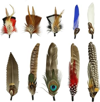 10Pcs Hat Feathers, Natural Feathers Peacock Feathers for Hats, Colorful Feathers Pin Cowboy Hat Feather for Western Cowboy Hats Christmas Party Hats, Feathers Accessories DIY Decorations 10 Style