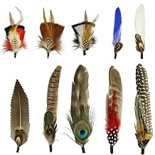 10Pcs Hat Feathers, Natural Feathers Peacock Feathers for Hats, Colorful Feathers Pin Cowboy Hat Feather for Western Cowboy Hats Christmas Party Hats, Feathers Accessories DIY Decorations 10 Style