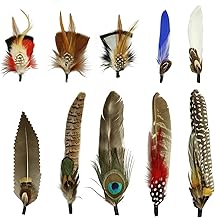 Lot de 10 Hat Feathers plumes de chapeau, plumes naturelles paon, plumes colorées, plumes chapeau cowboy pour chapeaux cowboy occidentaux, chapeaux fête Noël, accessoires plumes, décorations DIY