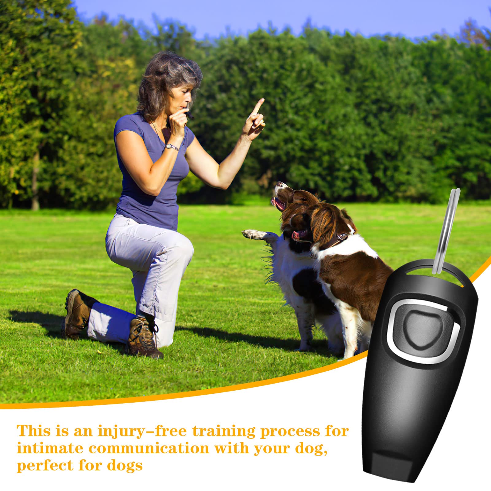 2-teiliges Hundepfeife Trainingsset – Mit Pfeifengurt & Clicker, Ideal Für Rückruf & Anti-Bellen Training