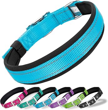 Reflective Soft Padded Dog Collar, Adjustable Comfort Nylon Pet Collar with 6 Holes, Durable Metal Buckle, for Small Medium Large Dogs, 6 Colors Teal-XL