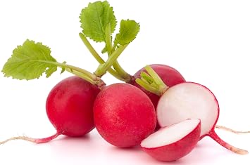 500 Cherry Belle Radish Seeds for Planting | USA Grown, Non-GMO, Heirloom | Fast-Growing, Sweet & Crisp | Harvest in 25 Days | Spring Vegetable for Gardeners of All Levels