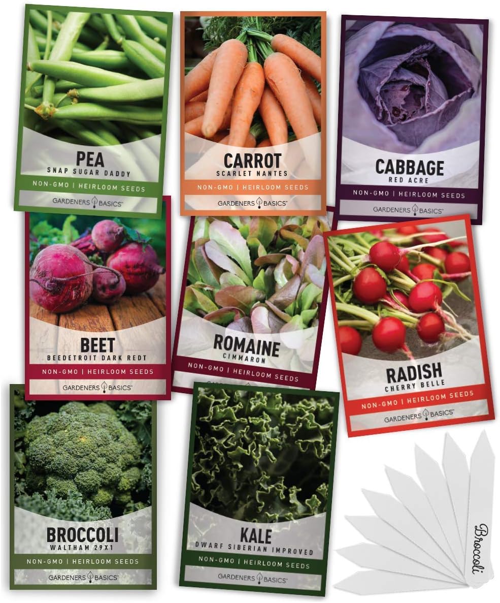 Gardeners Basics Winter, Fall, and Spring Vegetable Seeds for Planting | Cool Weather Crops | 8 Varieties: Sugar Snap Pea, Carrot, Beet, Radish, Lettuce, Broccoli, Kale, Cabbage